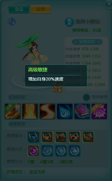 天穹网络